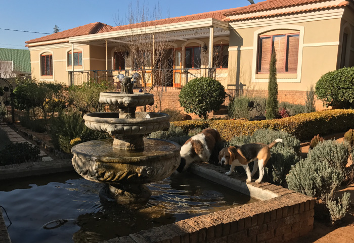 clarens accommodation pet friendly